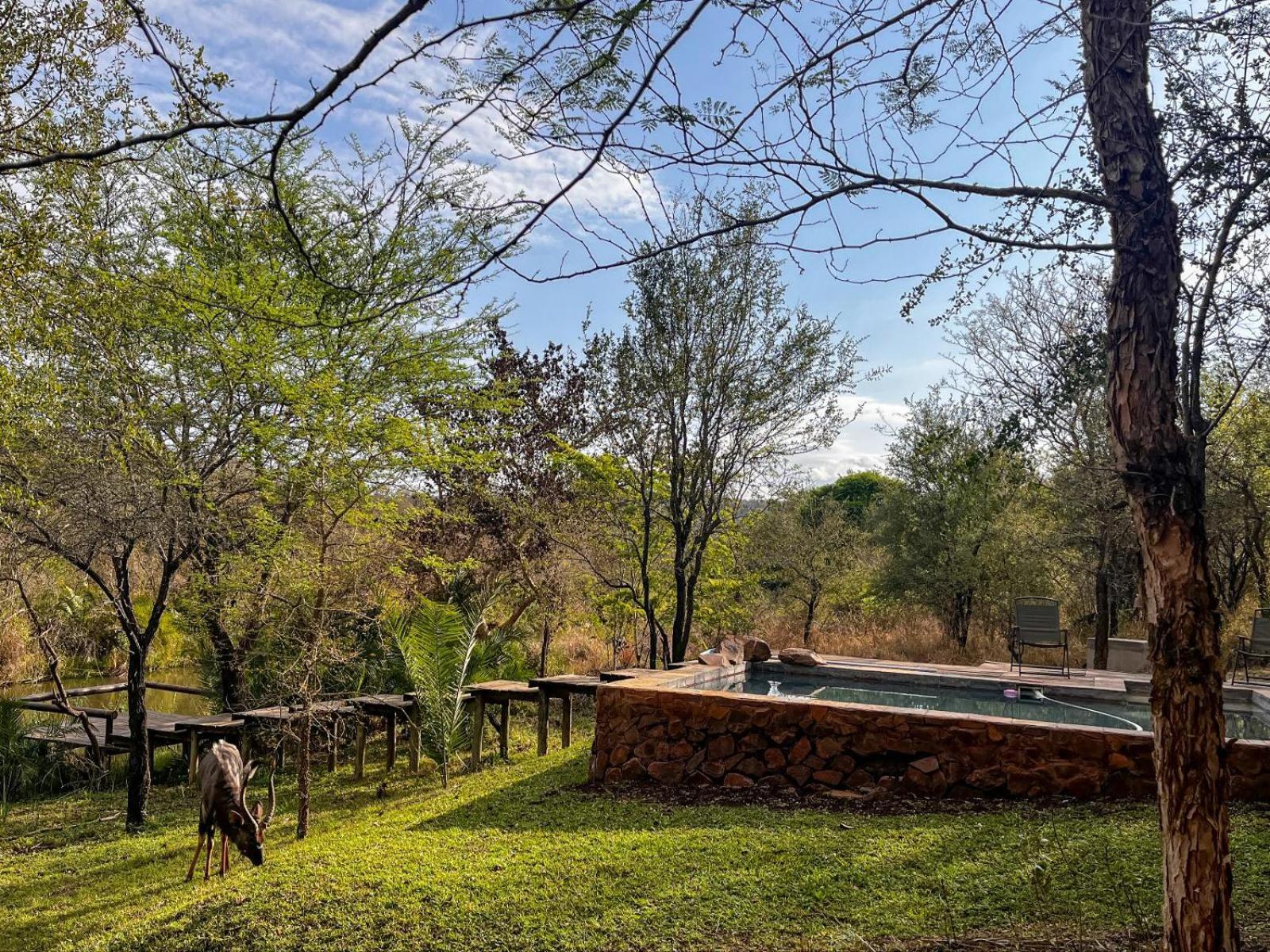 Mbuluzi Game Reserve Simunye Δωμάτιο φωτογραφία