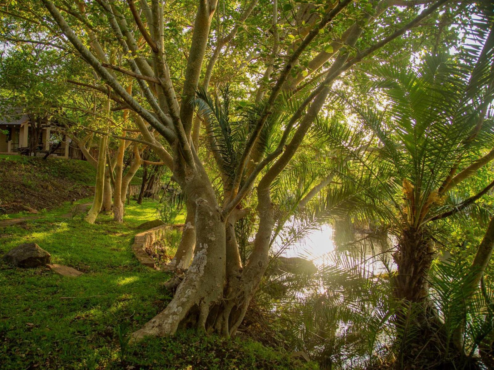 Mbuluzi Game Reserve Simunye Δωμάτιο φωτογραφία